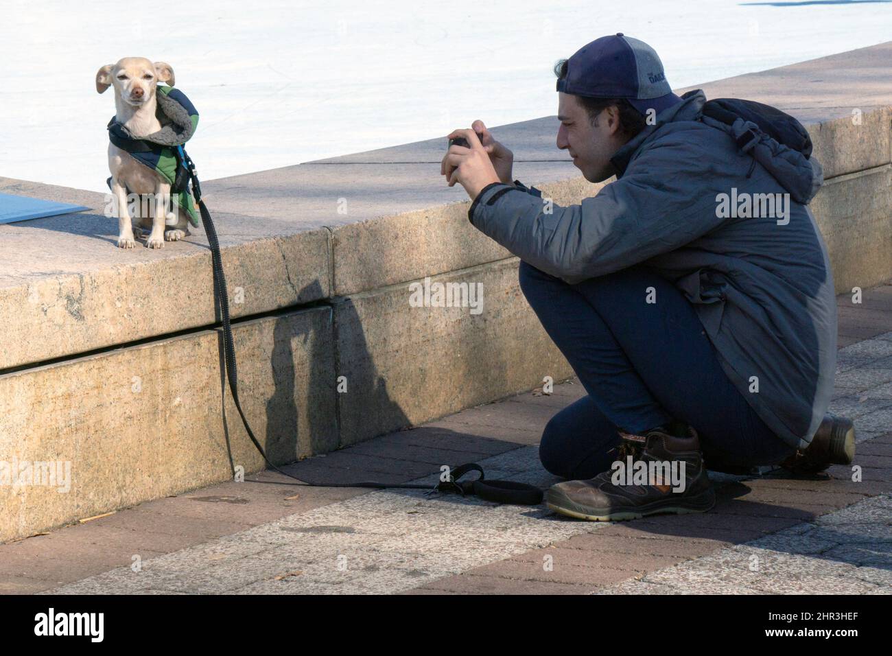 A YOUNG MAN TAKES A PHOTO OF HIS PET DOG IN ITS WINTER COAT IN A PARK IN QUEENS, NEW YORK. Stock Photo