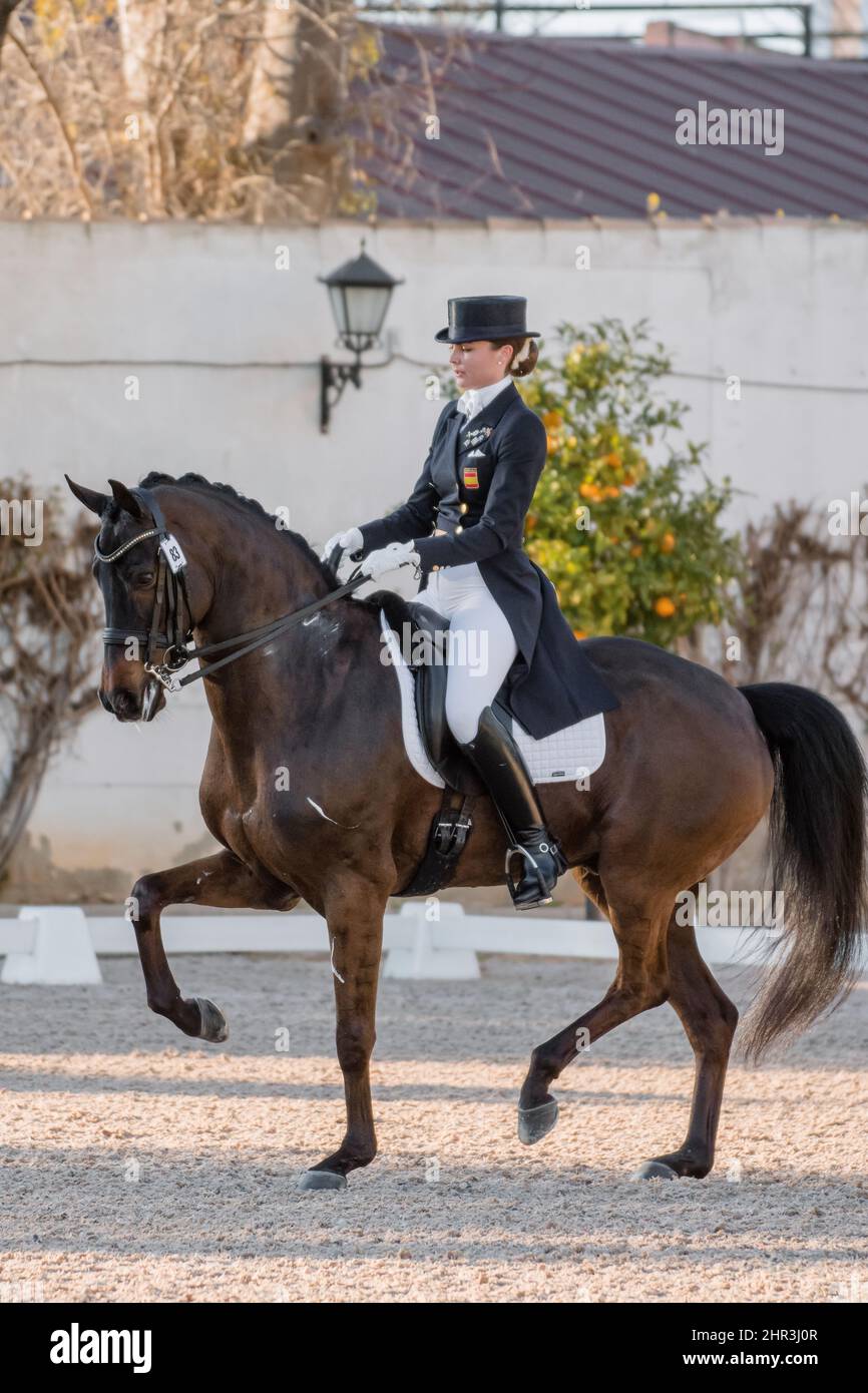 Royal Andalusian School of Equestrian Art, Jerez de la Frontera, Spain. 27th February 2015. Carmen Naesgaard (ESP) riding Ricardo (HAN) Stock Photo