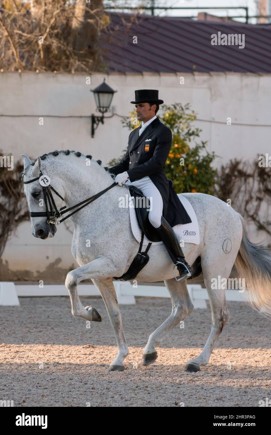 Royal Andalusian School of Equestrian Art, Jerez de la Frontera, Spain. 27th February 2015. Jose Antonio Garcia Mena (ESP) riding Norte Lovera (PRE) Stock Photo