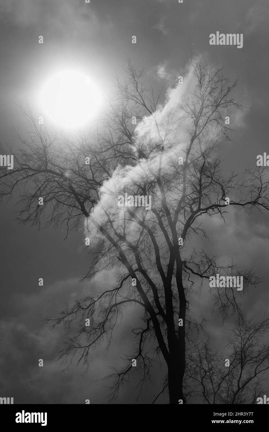 Vertical fog Black and White Stock Photos & Images - Alamy