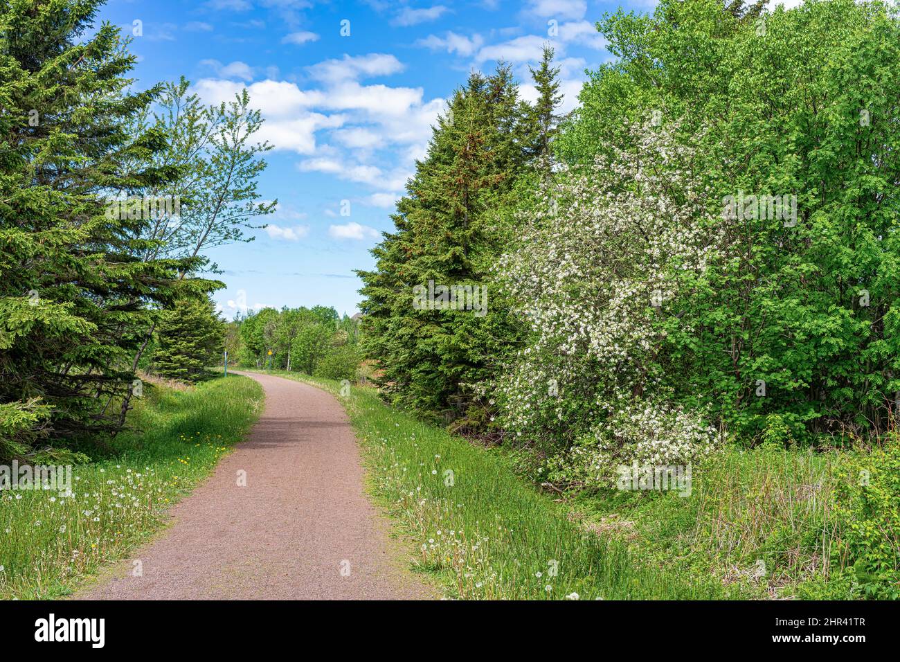 Springtime view of the Confederation Trail, Canada. Stock Photo