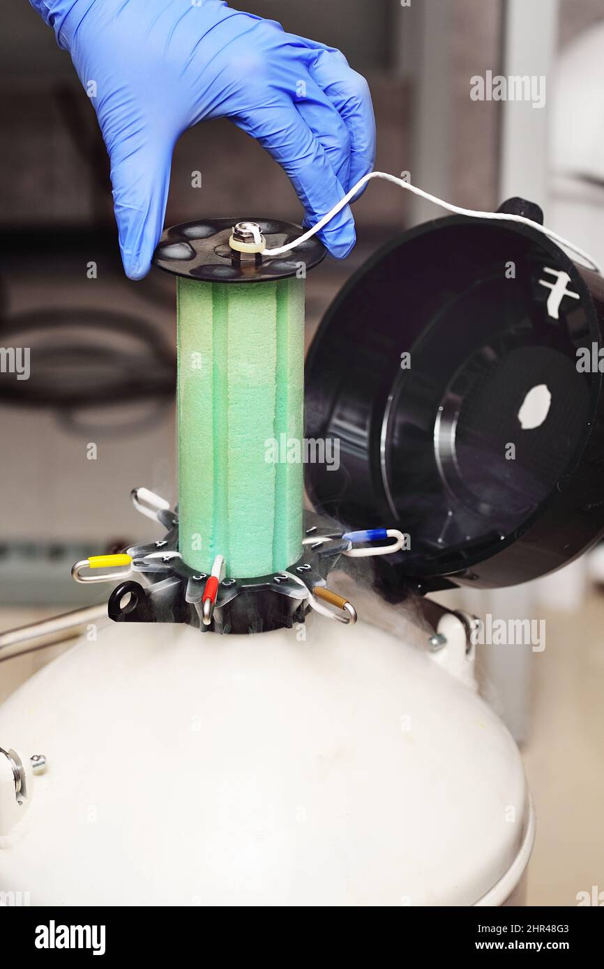 Dewar vessel with liquid nitrogen with frozen embryos and eggs in a cryobank in a modern IVF clinic. Reproductive medicine, in vitro fertilization Stock Photo