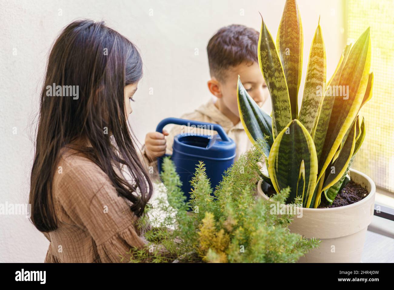 Girl and boy watering plants hi-res stock photography and images - Alamy