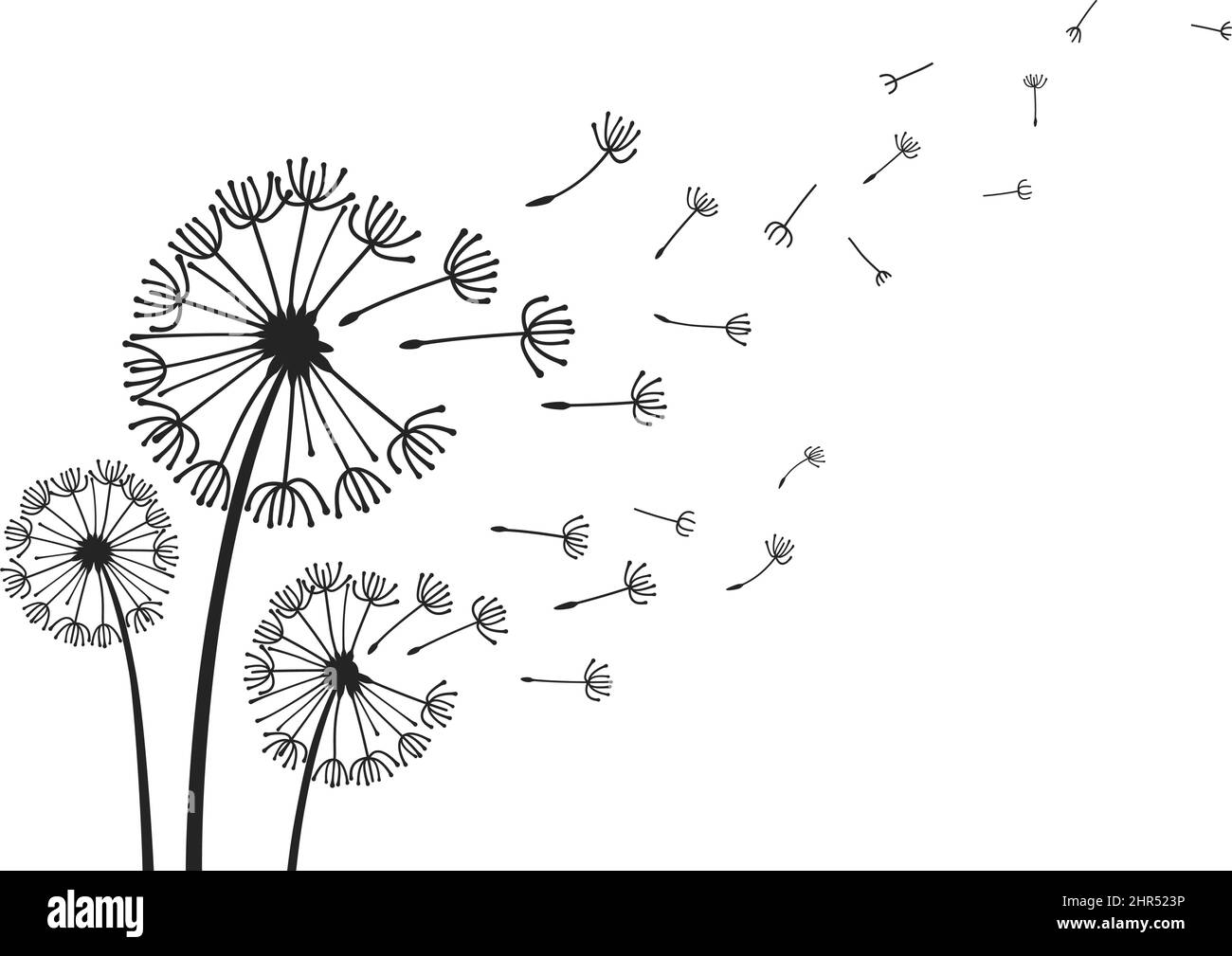 Dandelions with flying seeds, fluffy dandelion flower silhouettes. Spring season blooming blowball flowers doodles vector illustration. Dandelion fluf Stock Vector