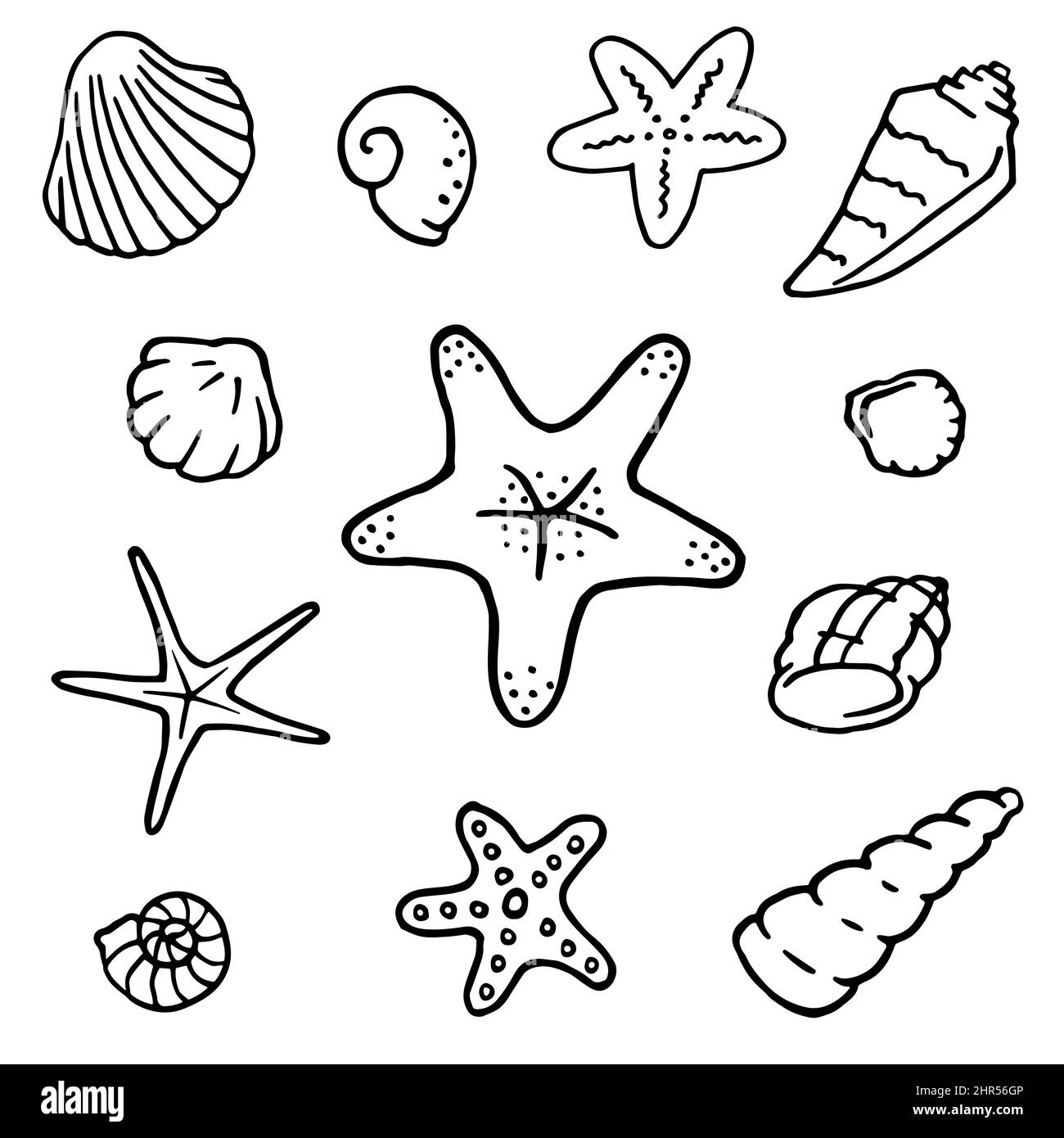 Coloriage étoile De Mer Et Coquillage Hand-drawn set of seashells and starfish. Vector illustration isolated on white background. Design elements for on sea theme in doodle style Stock Vector Image & Art - Alamy