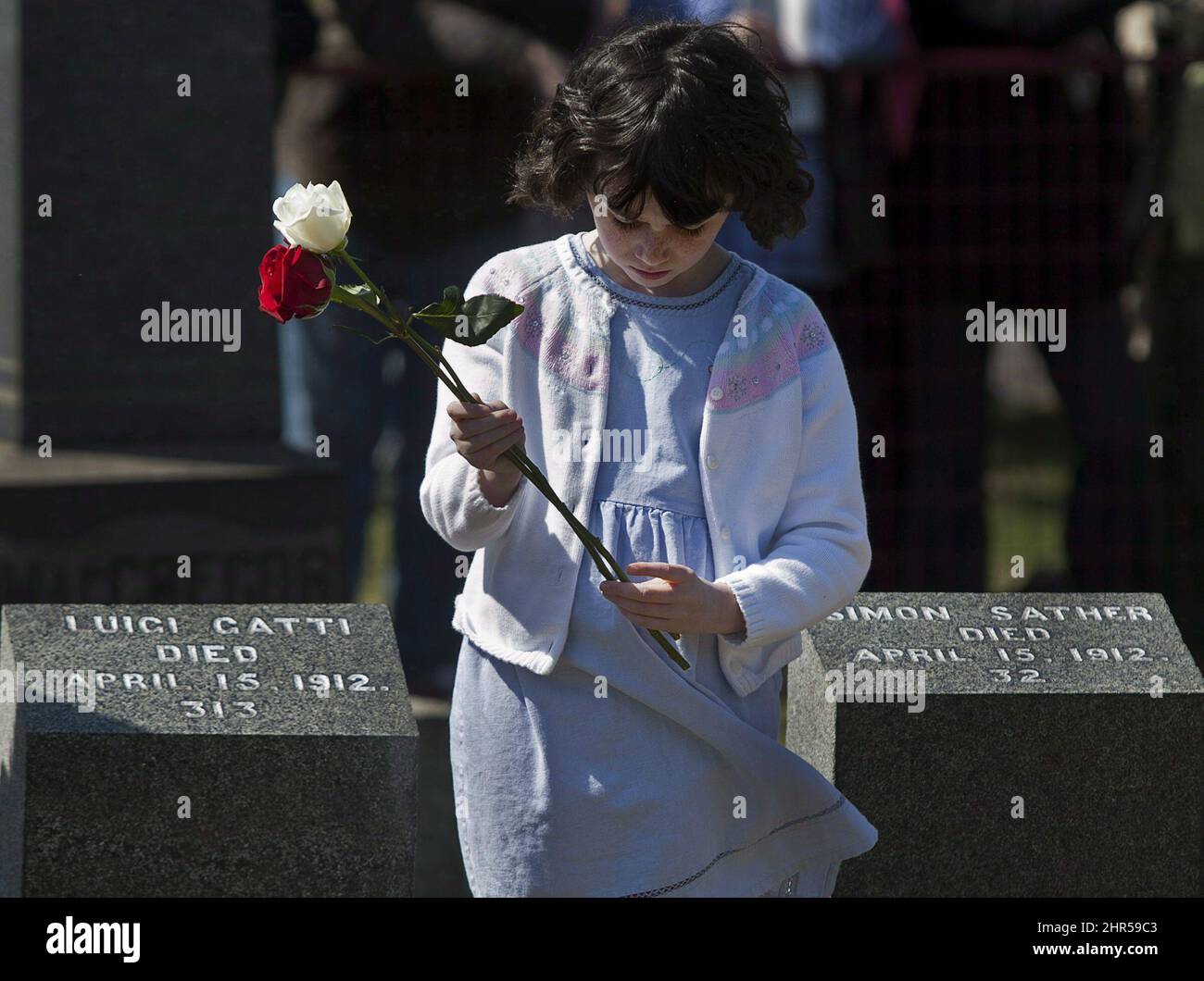 A child holds a flower that will be placed on a grave marker at a