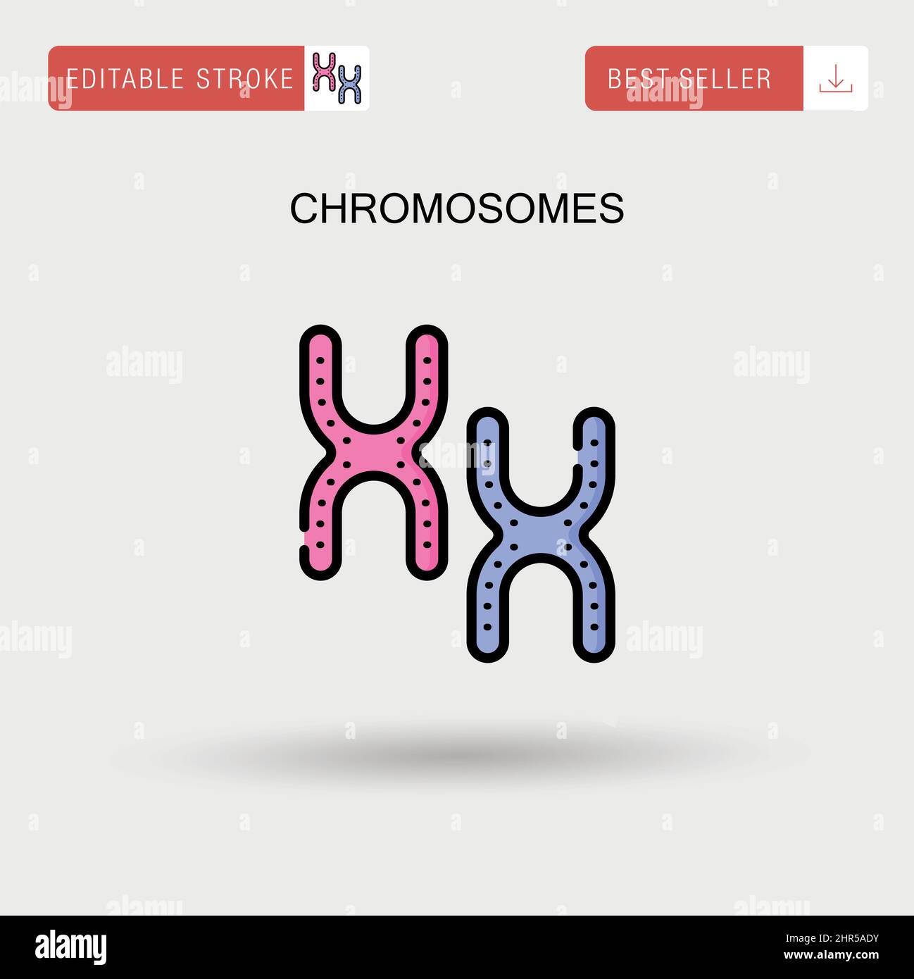 Chromosomes Simple vector icon. Stock Vector