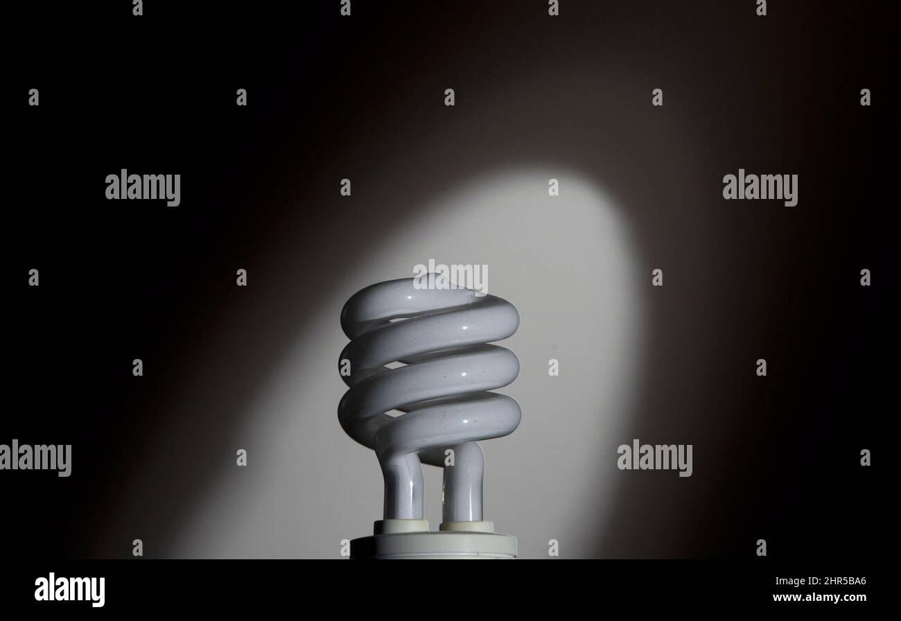 A Compact fluorescent light bulb (CFL) is seen Saturday January 19, 2013 in Ottawa. THE CANADIAN
