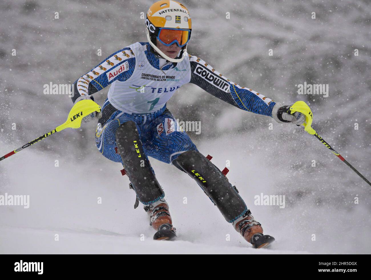 World championship women ski hi-res stock photography and images - Alamy
