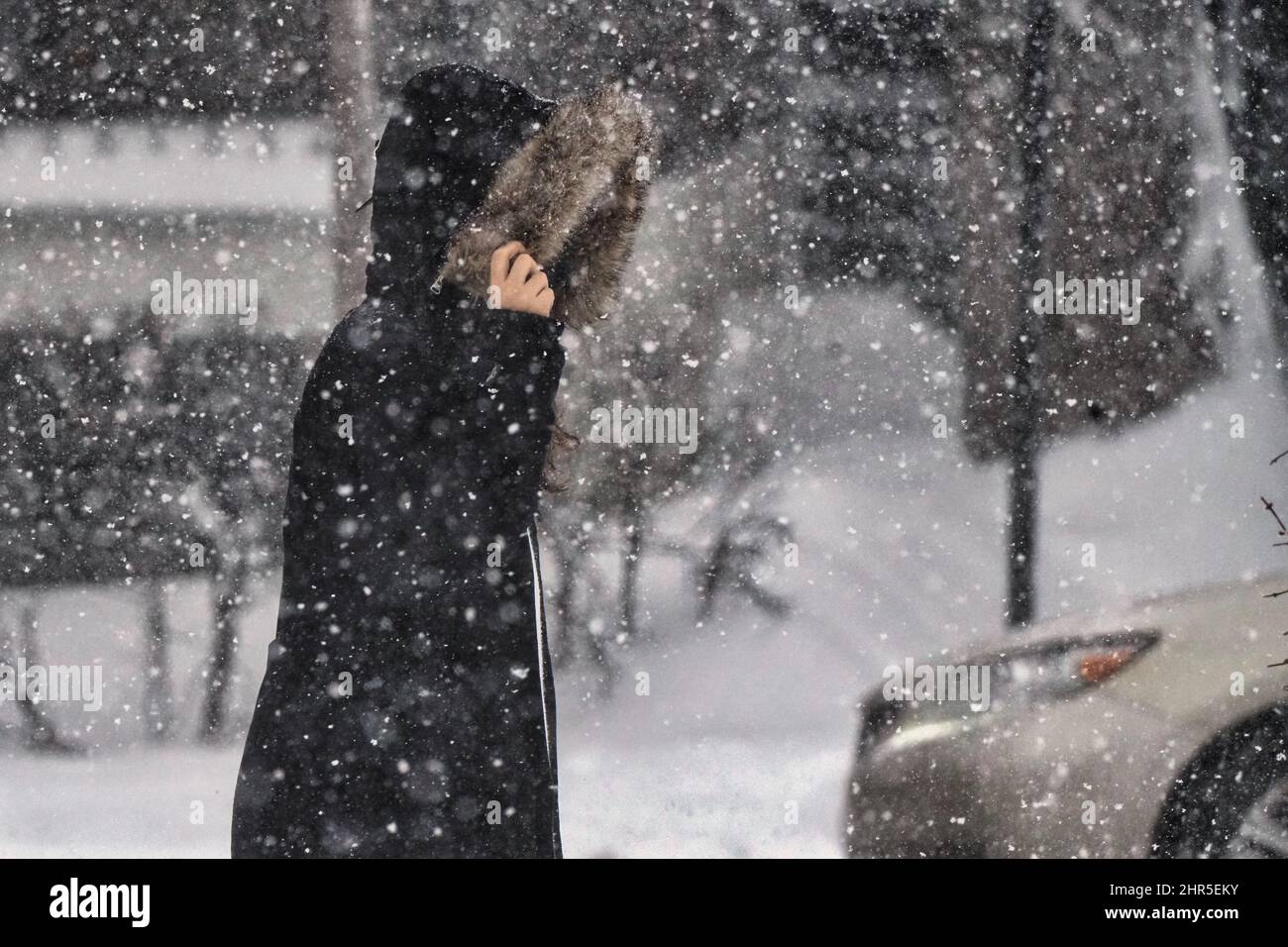 Woman walking during a winter storm. Stock Photo