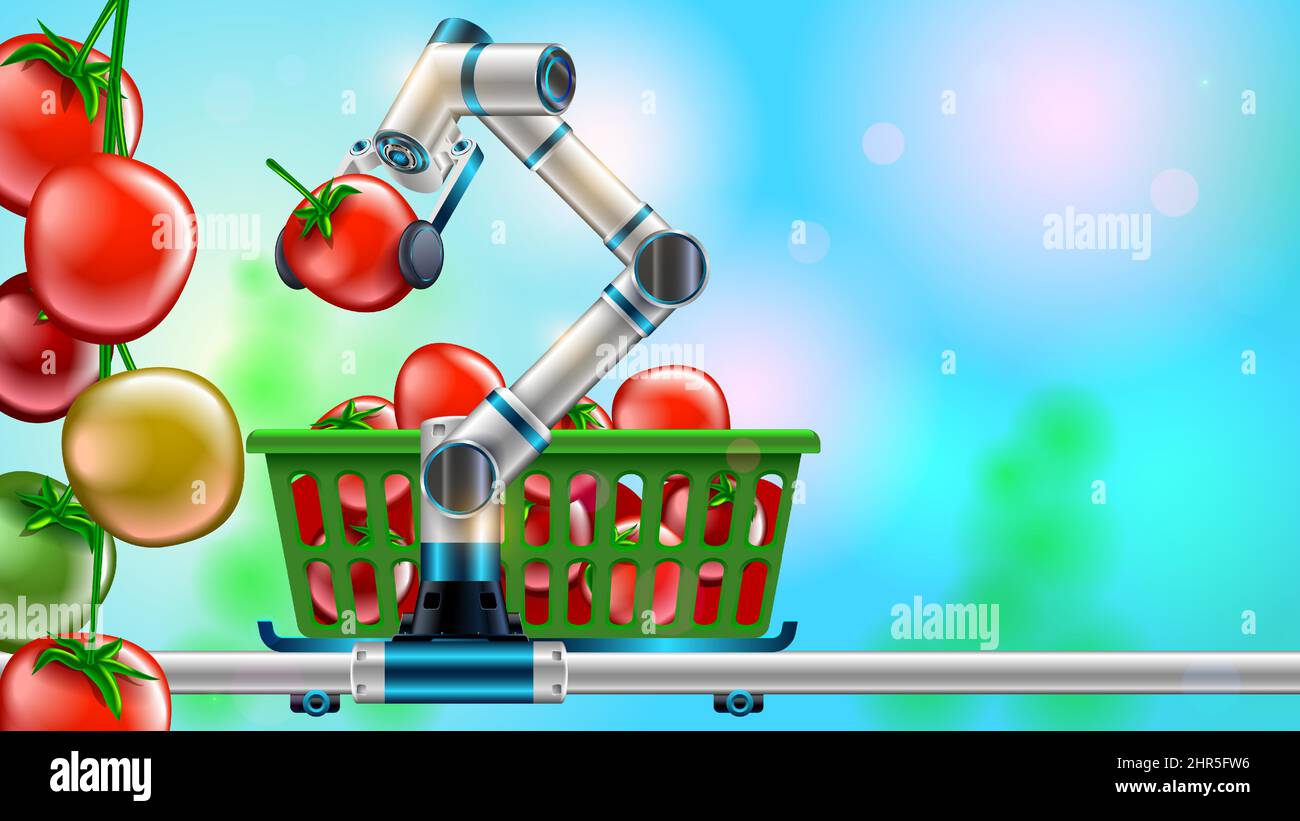Technology automation of agriculture. Robot arm harvests vegetables in greenhouse. Digital innovation in smart farming. AI automatically cultivation Stock Vector