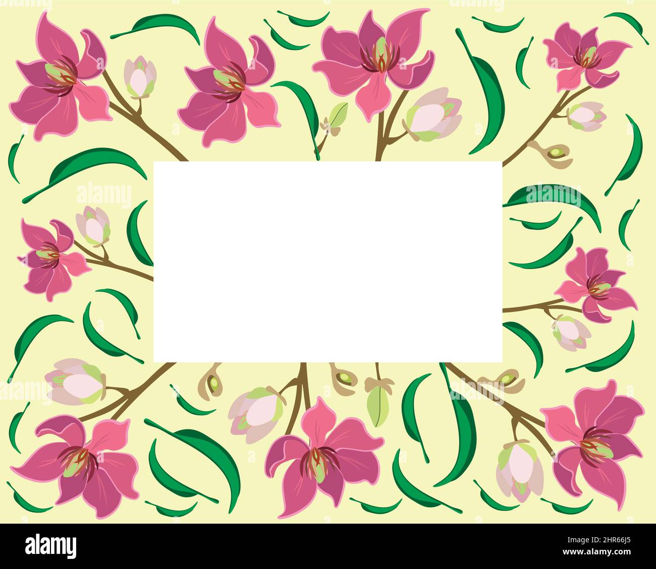 Beautiful Flower, Illustration Frame of Wine Magnolia Flower or Magnolia Figo Flowers with Green Leaves on A Branch. Stock Vector