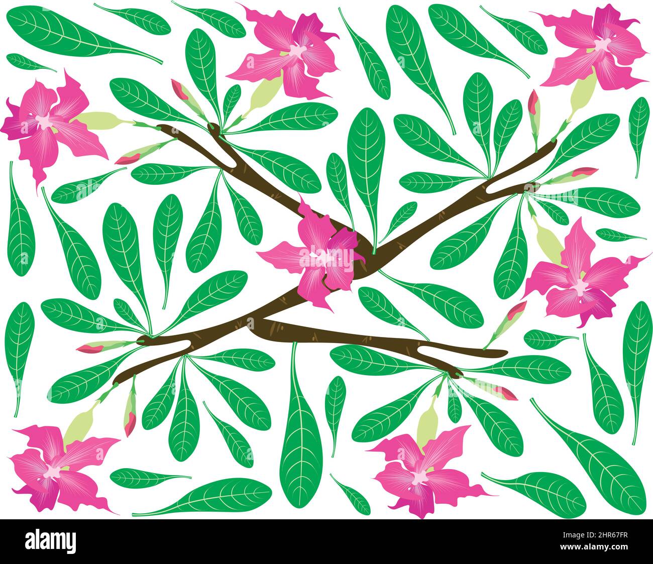 Beautiful Flower, Illustration Background of Pink Desert Rose Flowers or Pink Bignonia Flowers with Green Leaves. Stock Vector