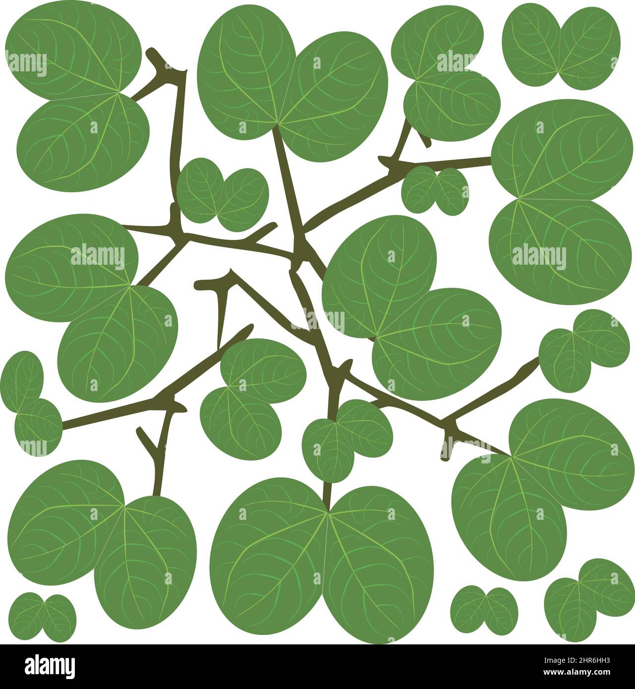 Illustration Vector Background of Beautiful Fresh Green Leaves on Tree ...