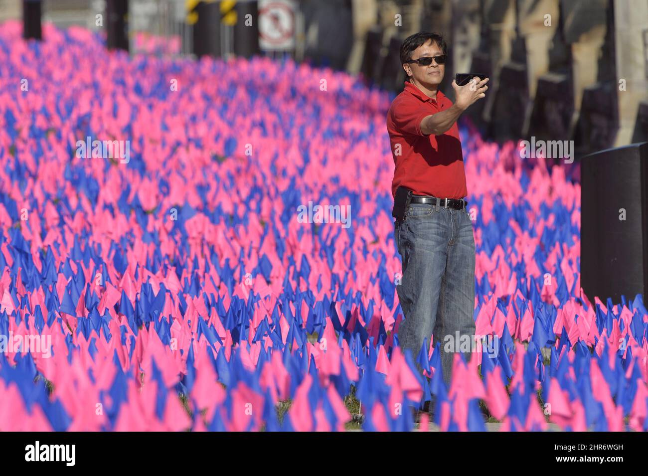 A tourist takes a selfie with a field of pink and blue flags in front of Parliament Hill, part of an anti-abortion campaign, Thursday, October 2, 2014 in Ottawa. THE CANADIAN PRESS/Adrian Wyld Stock Photo