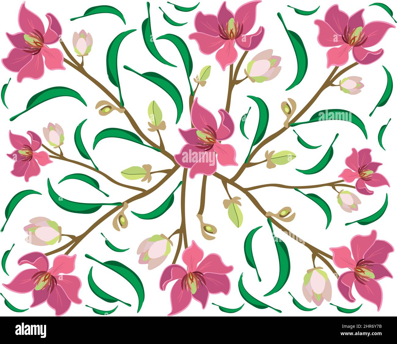 Beautiful Flower, Illustration Background of Wine Magnolia Flower or Magnolia Figo Flowers with Green Leaves on A Branch. Stock Vector