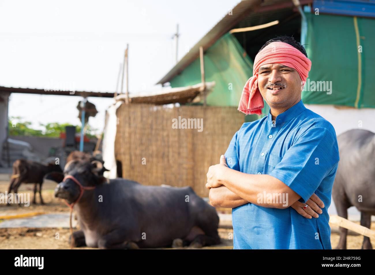 confidently standing happy smiling diary farmer at farm house with crossed  arms by looking at camera - concpet of successful dairy farming and small  Stock Photo - Alamy