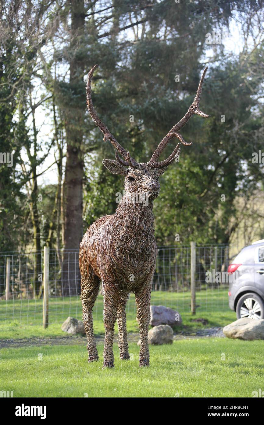 Whiteleys Retreat, Maybole, Ayrshire, Scotland, UK. A willow and steel sculpture in the shape of stag stands in the field by artist David Powell Stock Photo