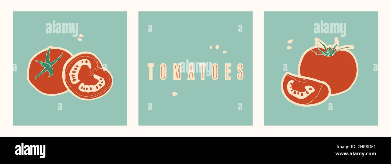 Set of stickers with red tomatoes. Cut the tomato in half, quarter and seeds. Diet healthy vegetarian food. Vector retro illustration for menu design Stock Vector