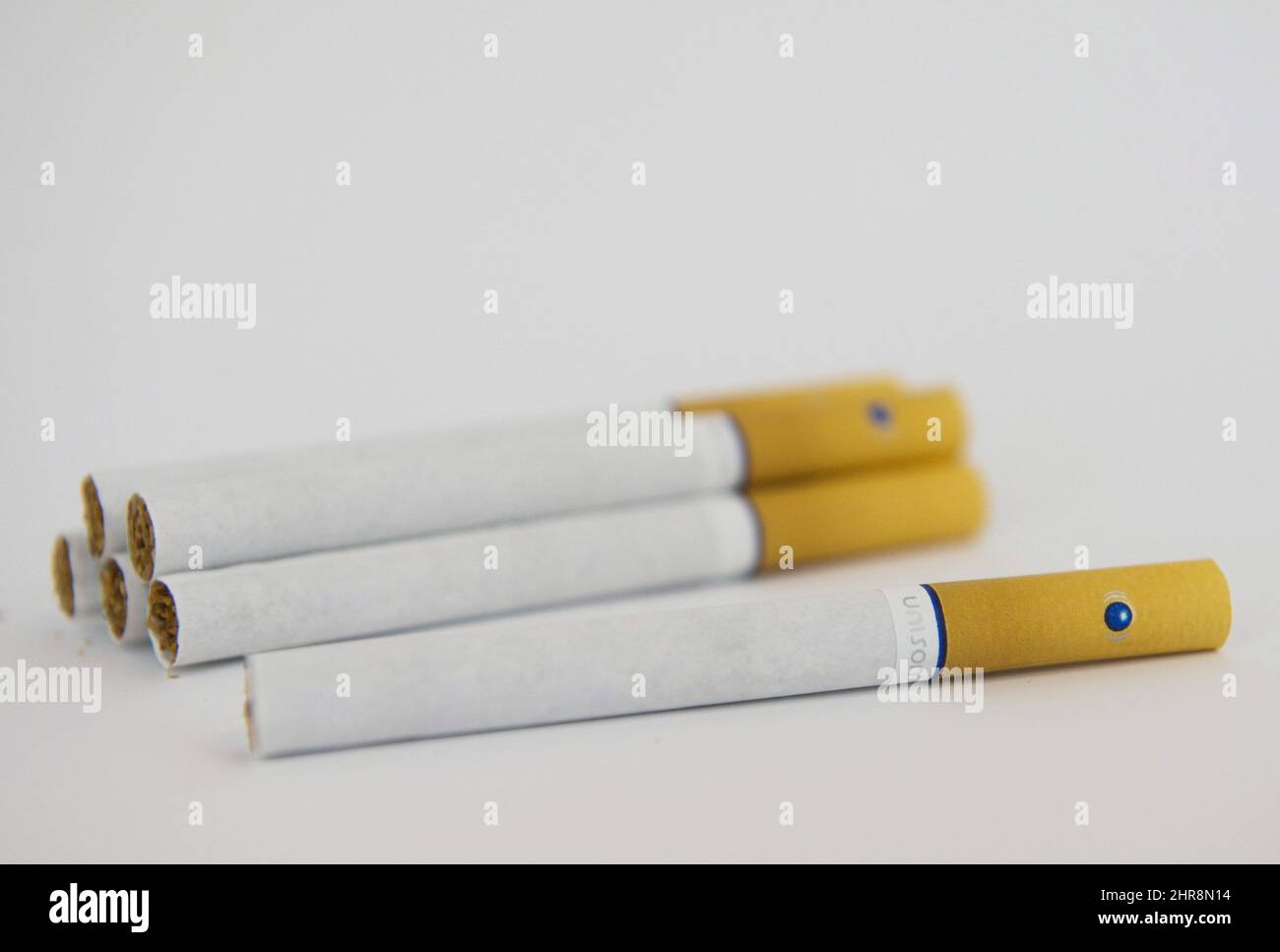 vincent van gogh skeleton cigarette Vincent Van Gogh - Skull with Burning Cigarette 1885 Stock Photo