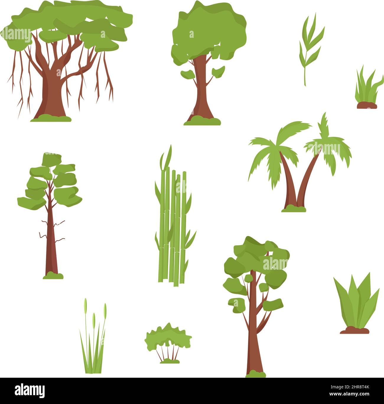 Vegetation of India. Trees and grass. Banyan, palm trees, bamboo, sandalwood, coniferous trees in flat design Stock Vector
