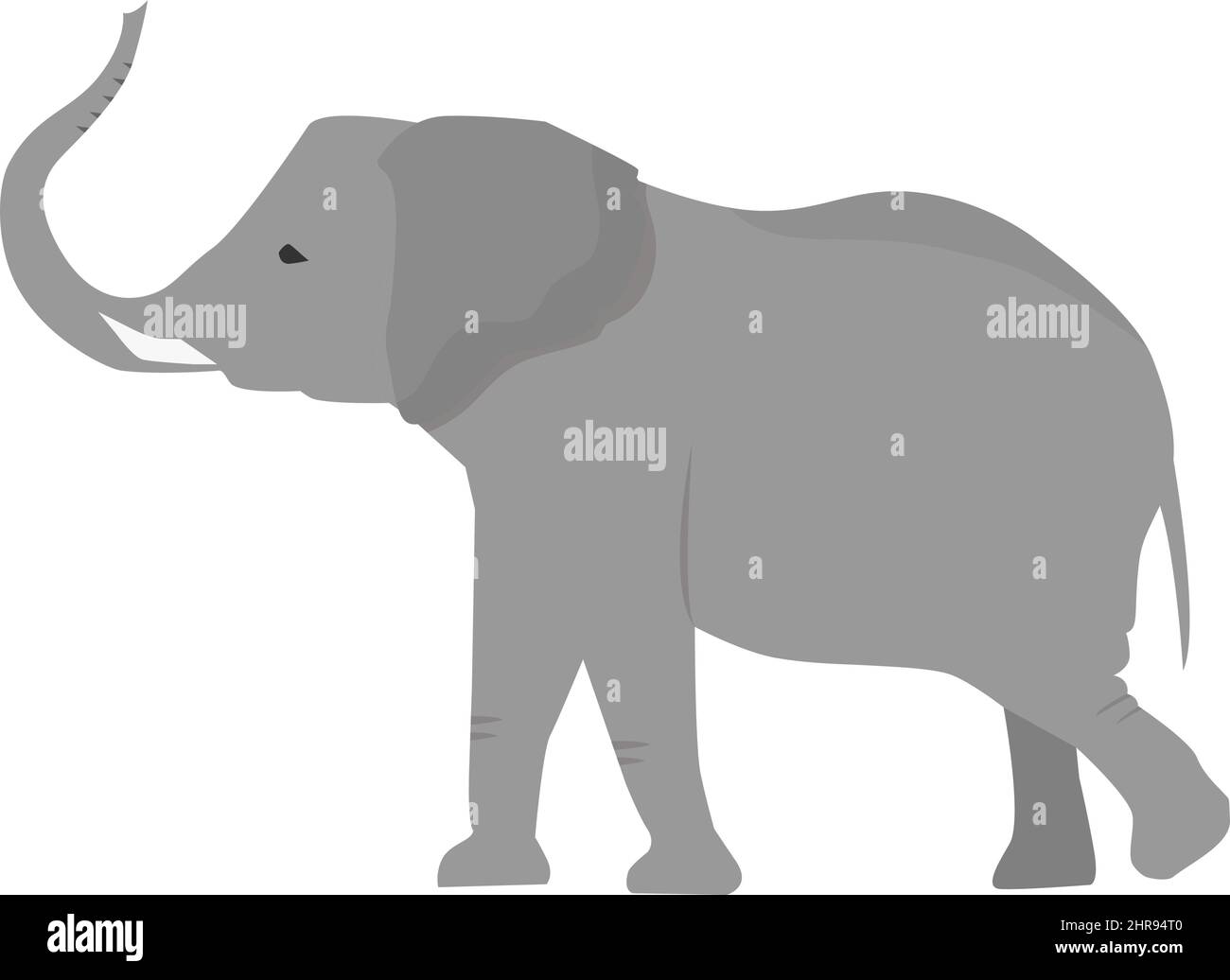 African elephant in flat style isolated on white background Stock ...