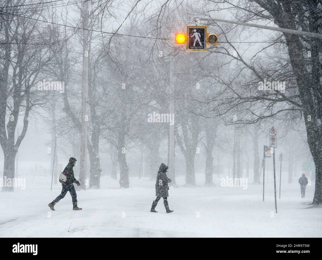 Pedestrians cross the street in Halifax on Saturday, March 5, 2016. Heavy snow and winds are buffeting parts of Nova Scotia with zero visibility and poor travel conditions. THE CANADIAN PRESS/Andrew Vaughan Stock Photo