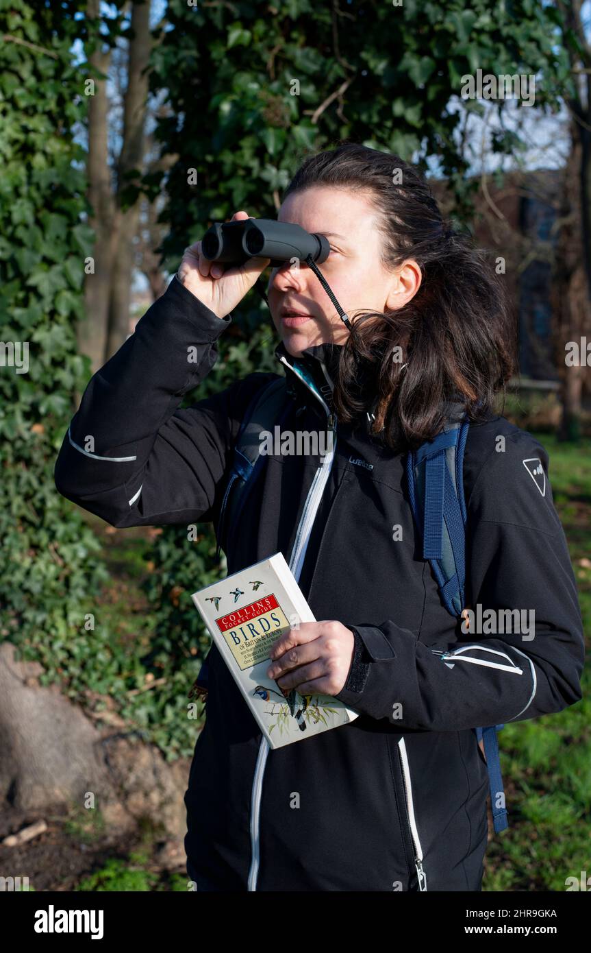 London, UK - January 5th 2022: Person birdwatching with binoculars and reference book Stock Photo