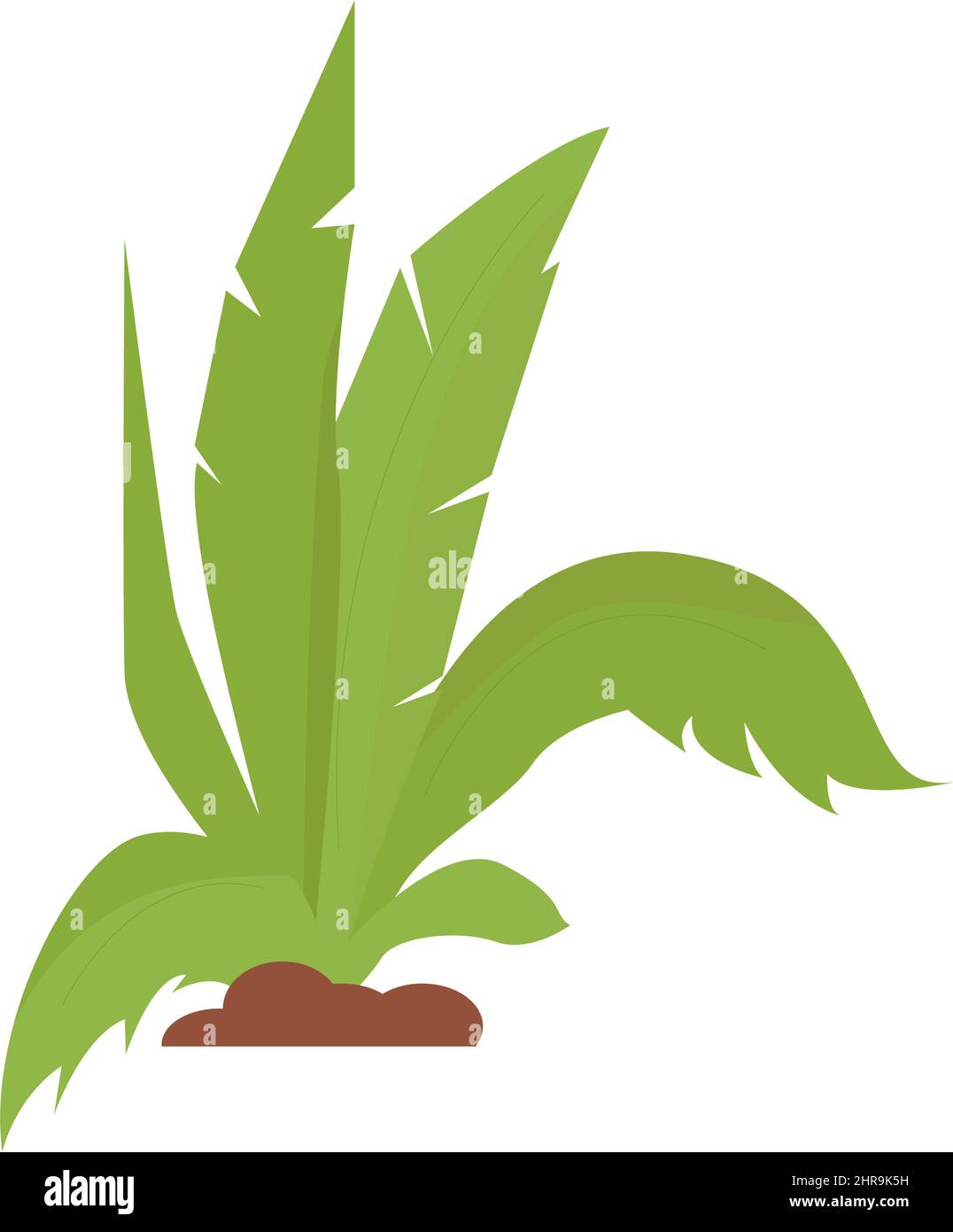 Plants, bushes, grass in flat style isolated on white background Stock Vector