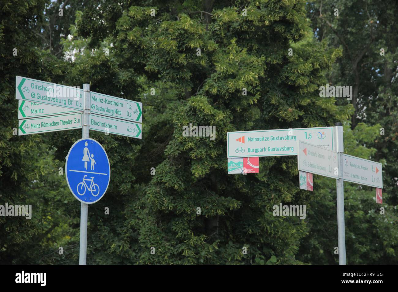 Signposts to cycle paths, information signs, Gustavsburg, Germany Stock Photo