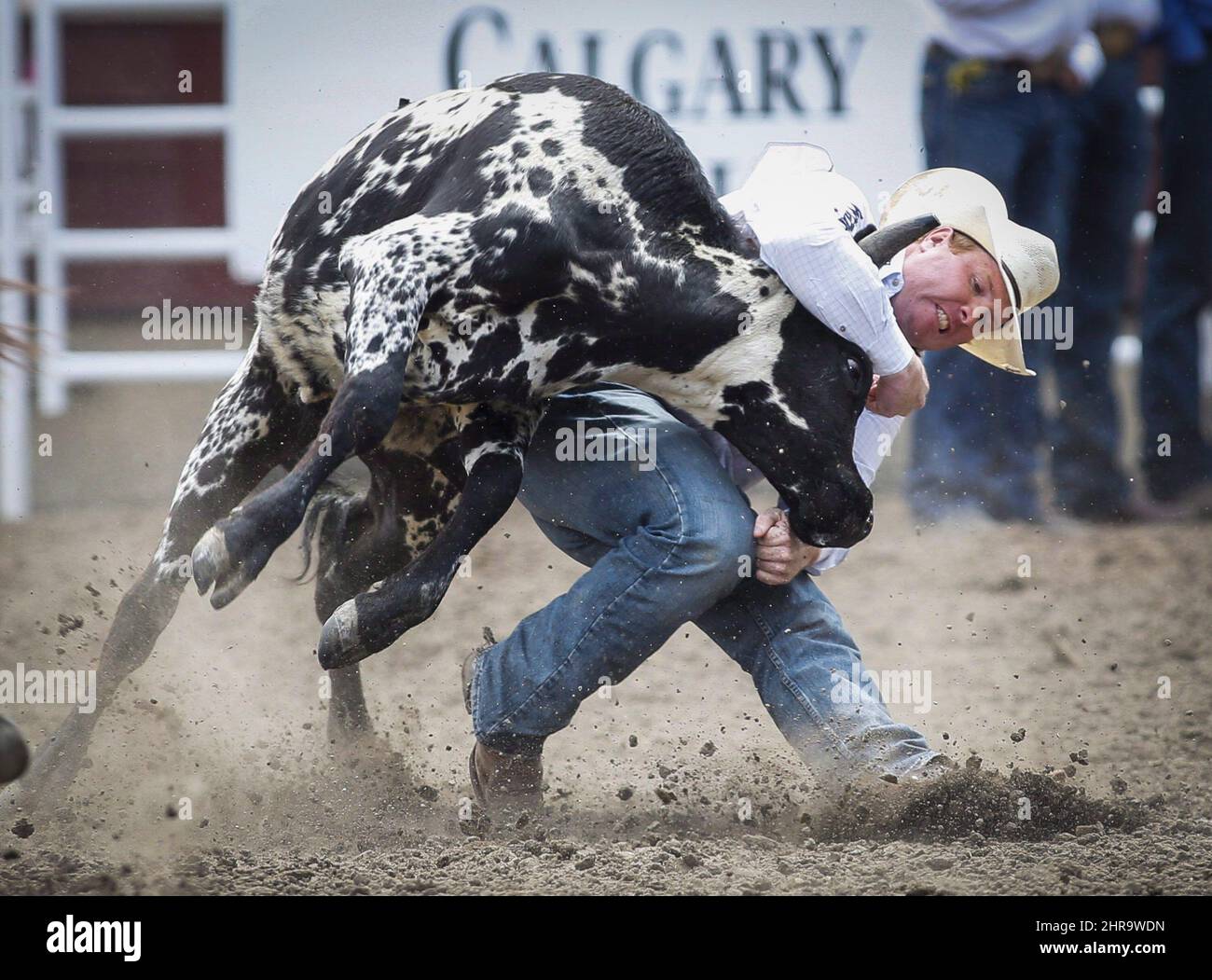 FILE Tanner Milan, of Cochrane, Alta., competes in the steer