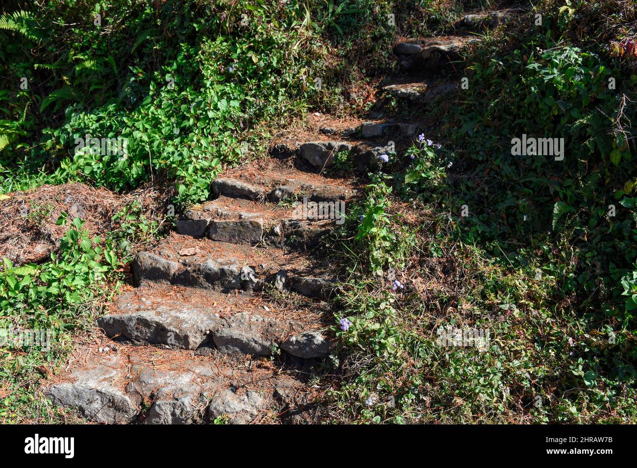 Free Stock Photo of Steep steps down from lookout tower