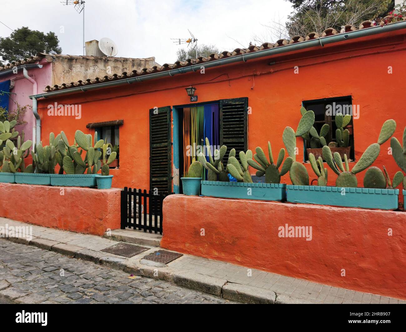 Cactus in Palma de Mallorca Stock Photo - Alamy