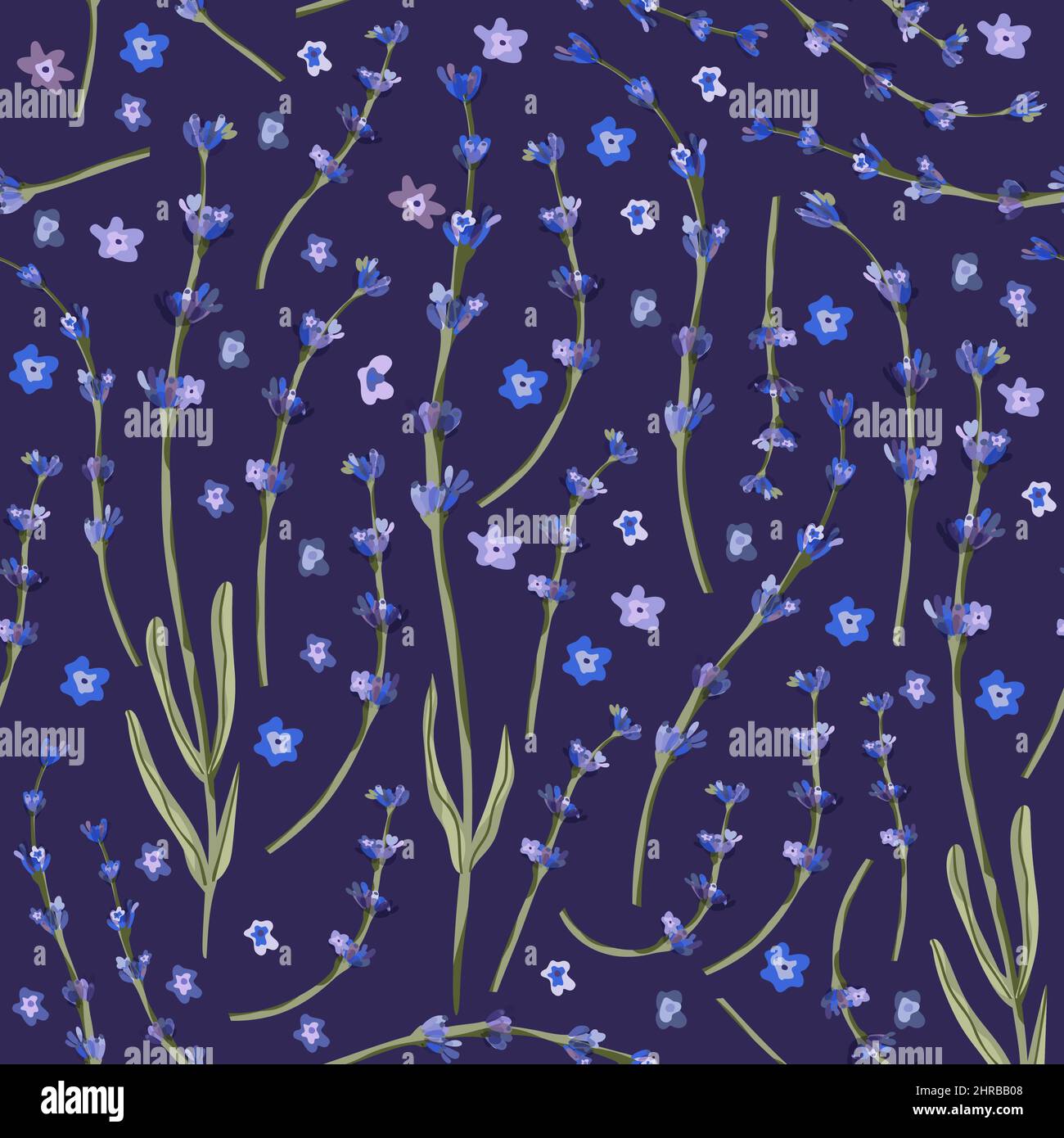 Lavender flower seamless pattern on a dark purple background Stock Vector