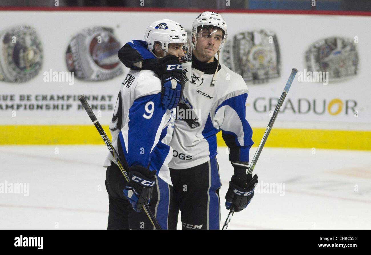 Saint John Sea Dogs centre Joe Veleno(left) and Samuel DoveMcFalls