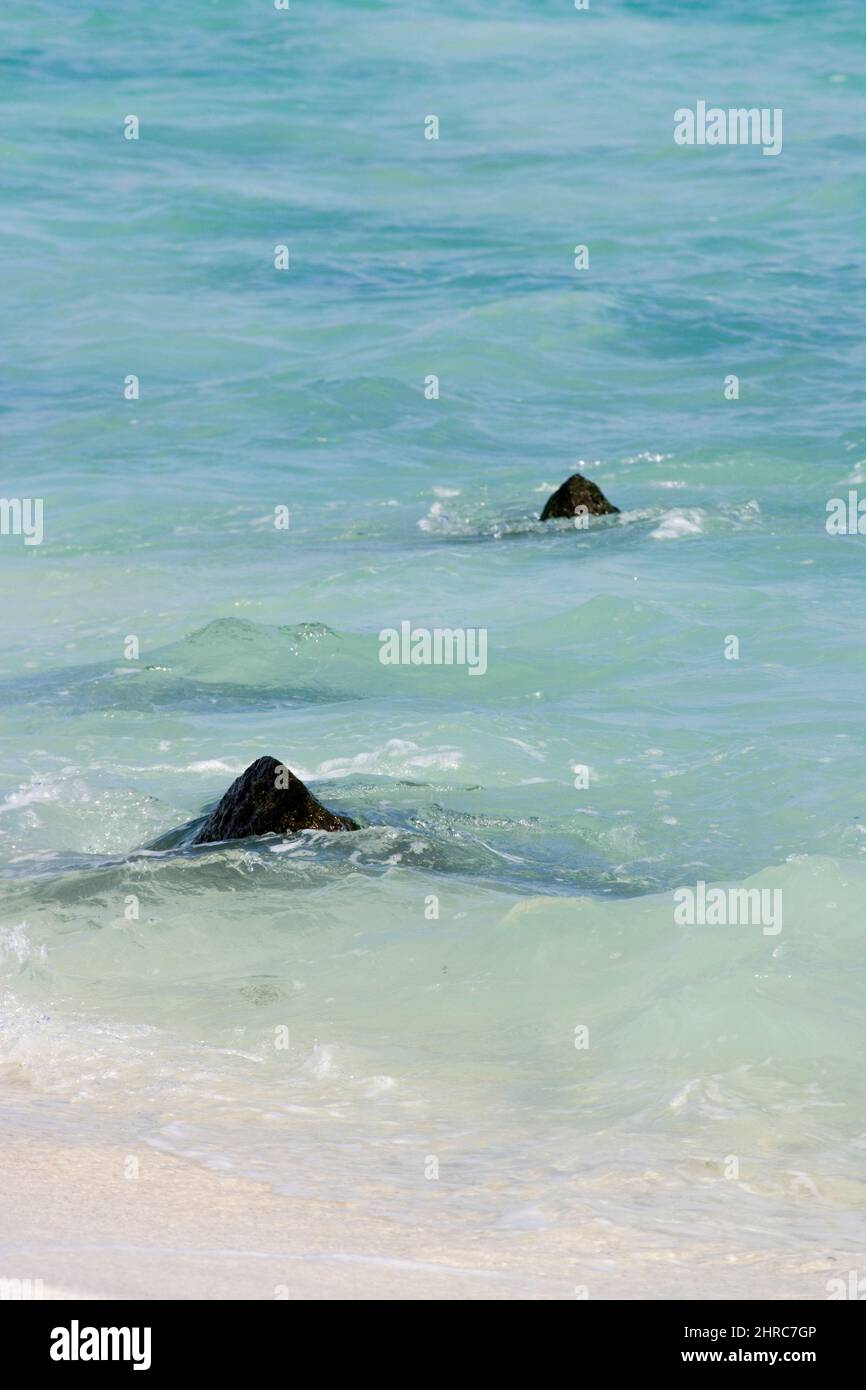 Shark Fin Rocks Two rocks emerging from the sea looking similar to shark fins at ...