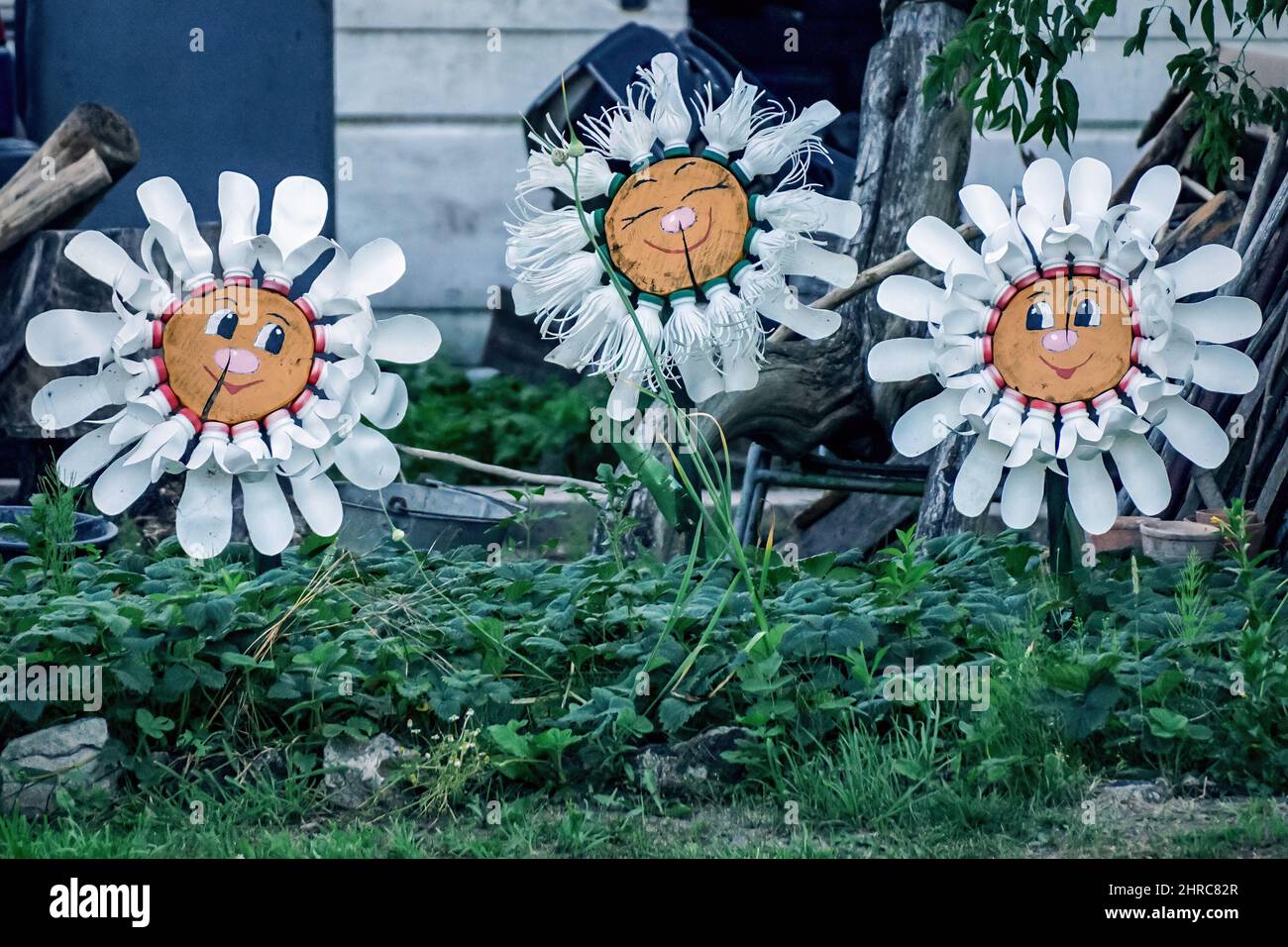 Flowers with smiles made from plastic bottles in the garden Stock Photo