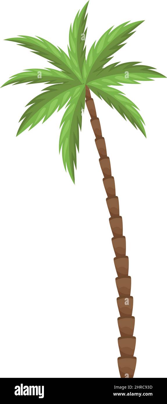 tropical tree palm Stock Vector Image & Art - Alamy