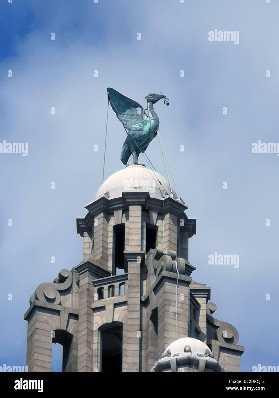 The Liverpool Liver bird closeup on top of the Liver building, UK Stock Photo