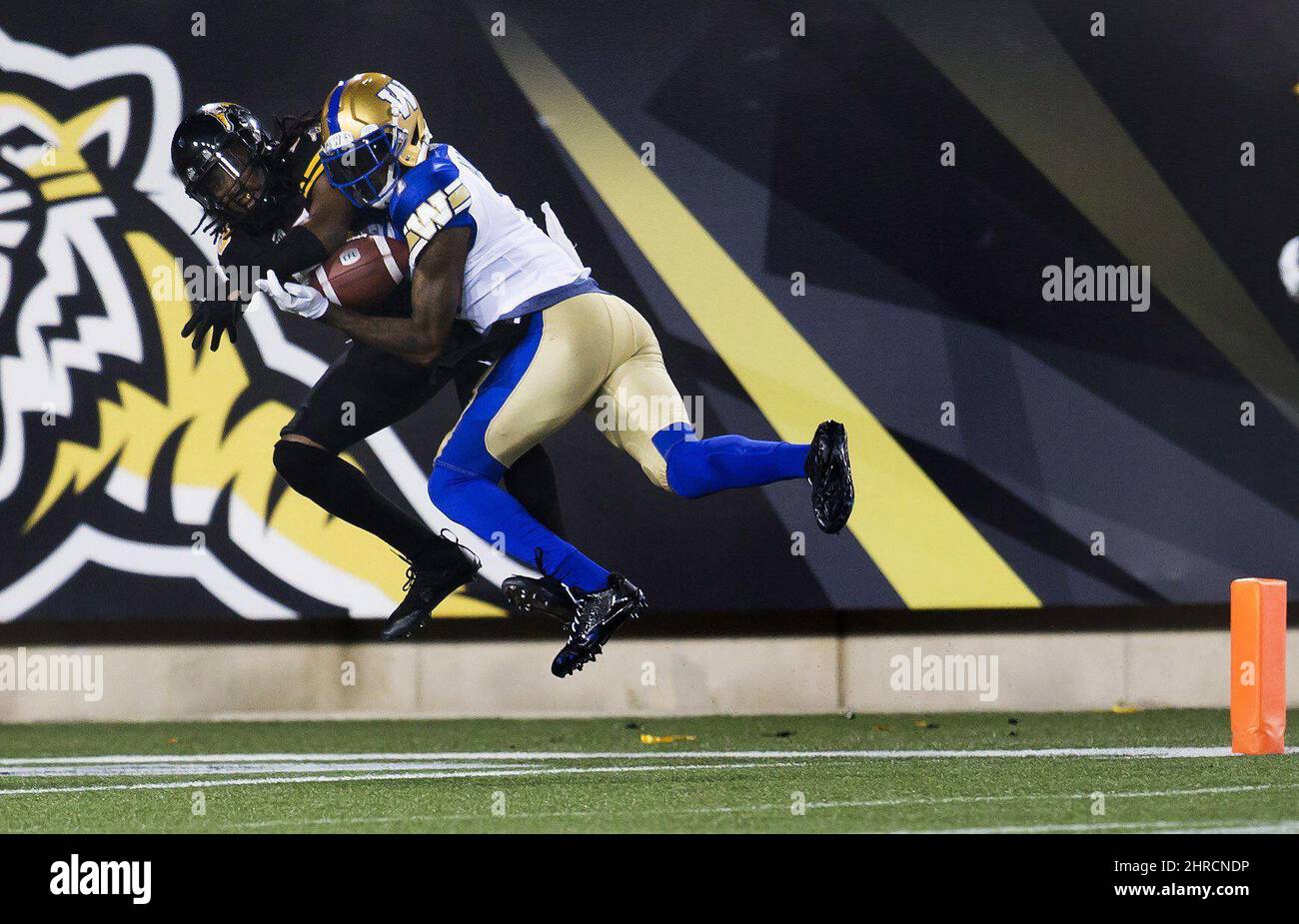 Winnipeg Blue Bombers receiver Davin Adams makes an acrobatic touchdown ...