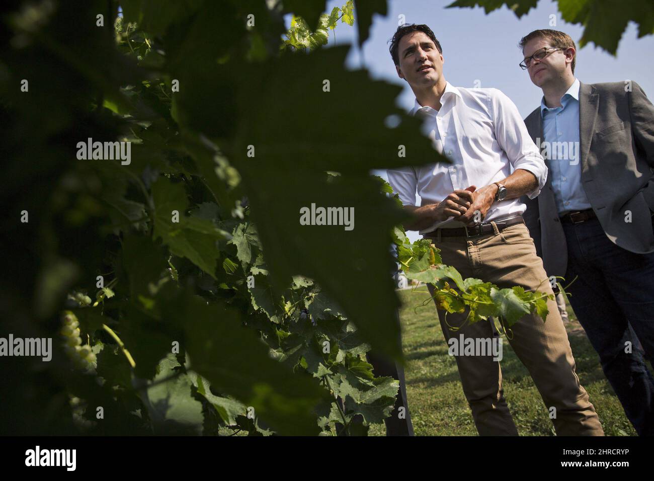Prime Minister Justin Trudeau, left, and Liberal MP Chris Bittle are