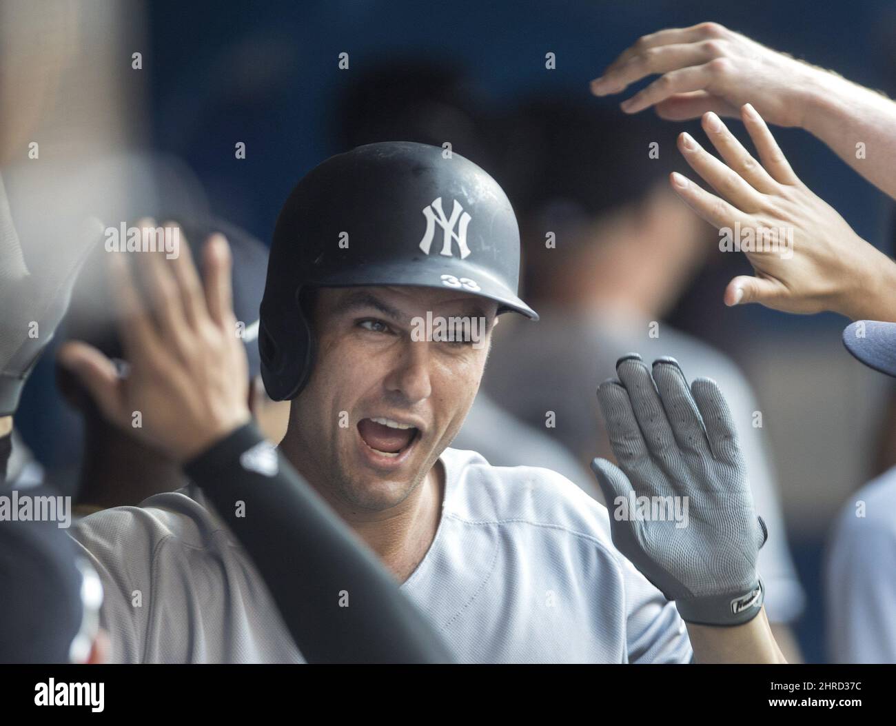 New York Yankees' Greg Bird celebrates in the dugout after hitting a