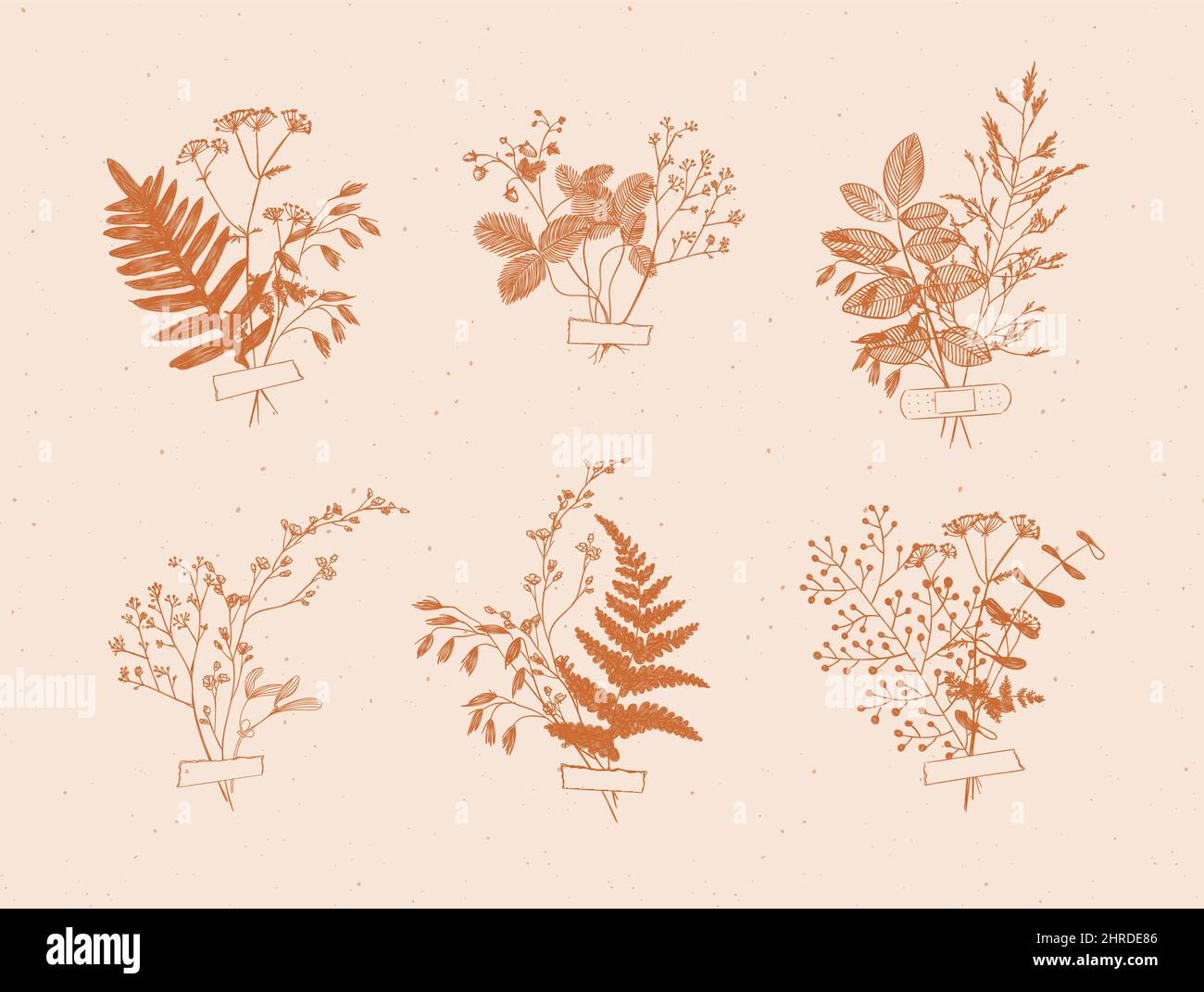 Branches and leaves are collected into a bouquet with sticker drawing in mustard color on beige background Stock Vector