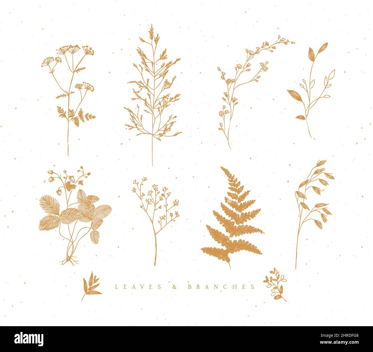 Set of leaves and branches floral style drawing in beige color on white background Stock Vector