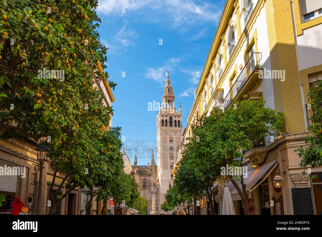 A typical orange tree lined street in the Barrio Santa Cruz district of Seville, Spain, with the cathedral and Giralda Tower in the distance. Stock Photo