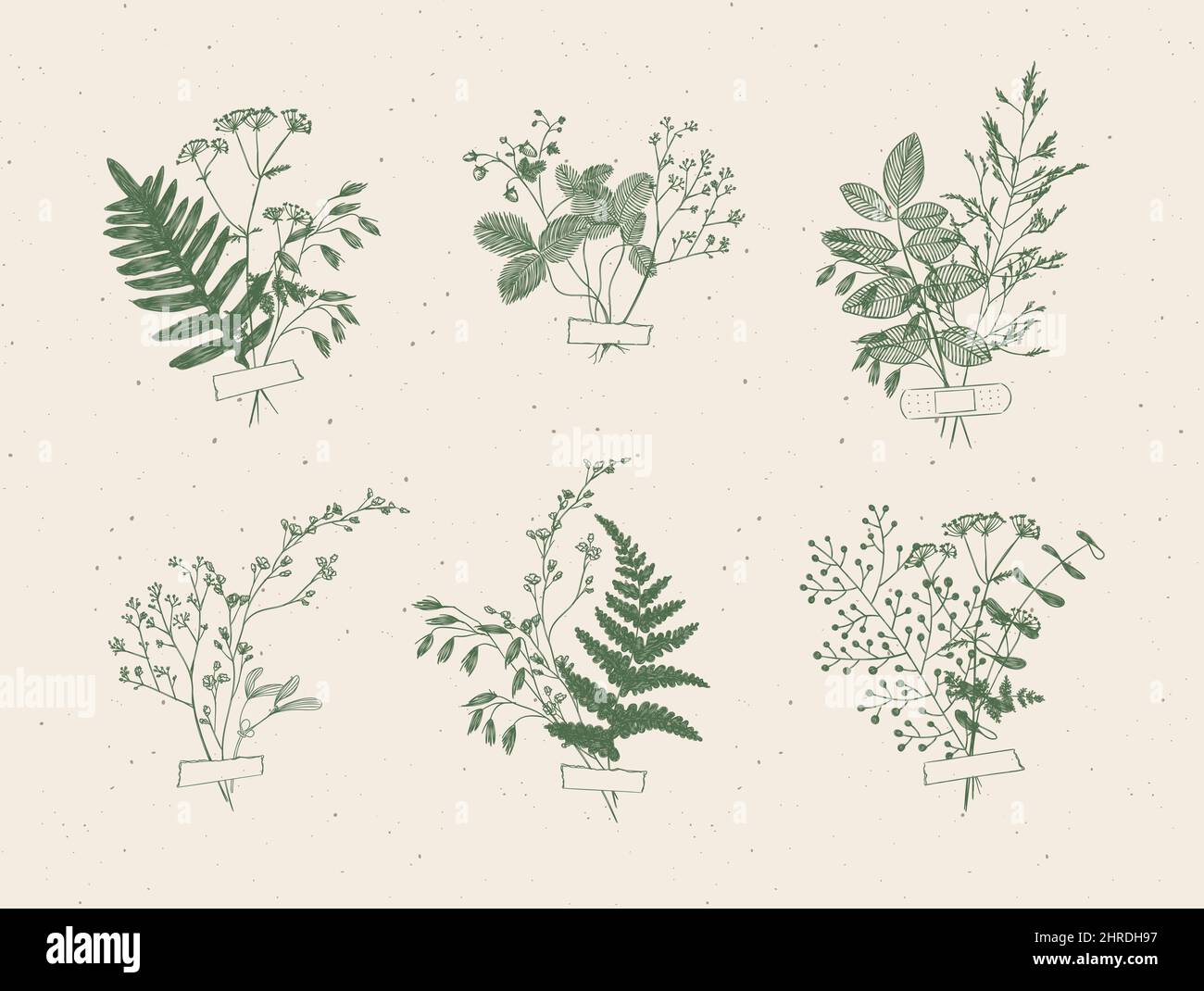 Branches and leaves are collected into a bouquet with sticker drawing in green color on beige background Stock Vector