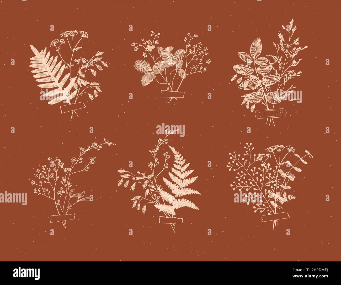 Branches and leaves are collected into a bouquet with sticker drawing in grey color on brown background Stock Vector