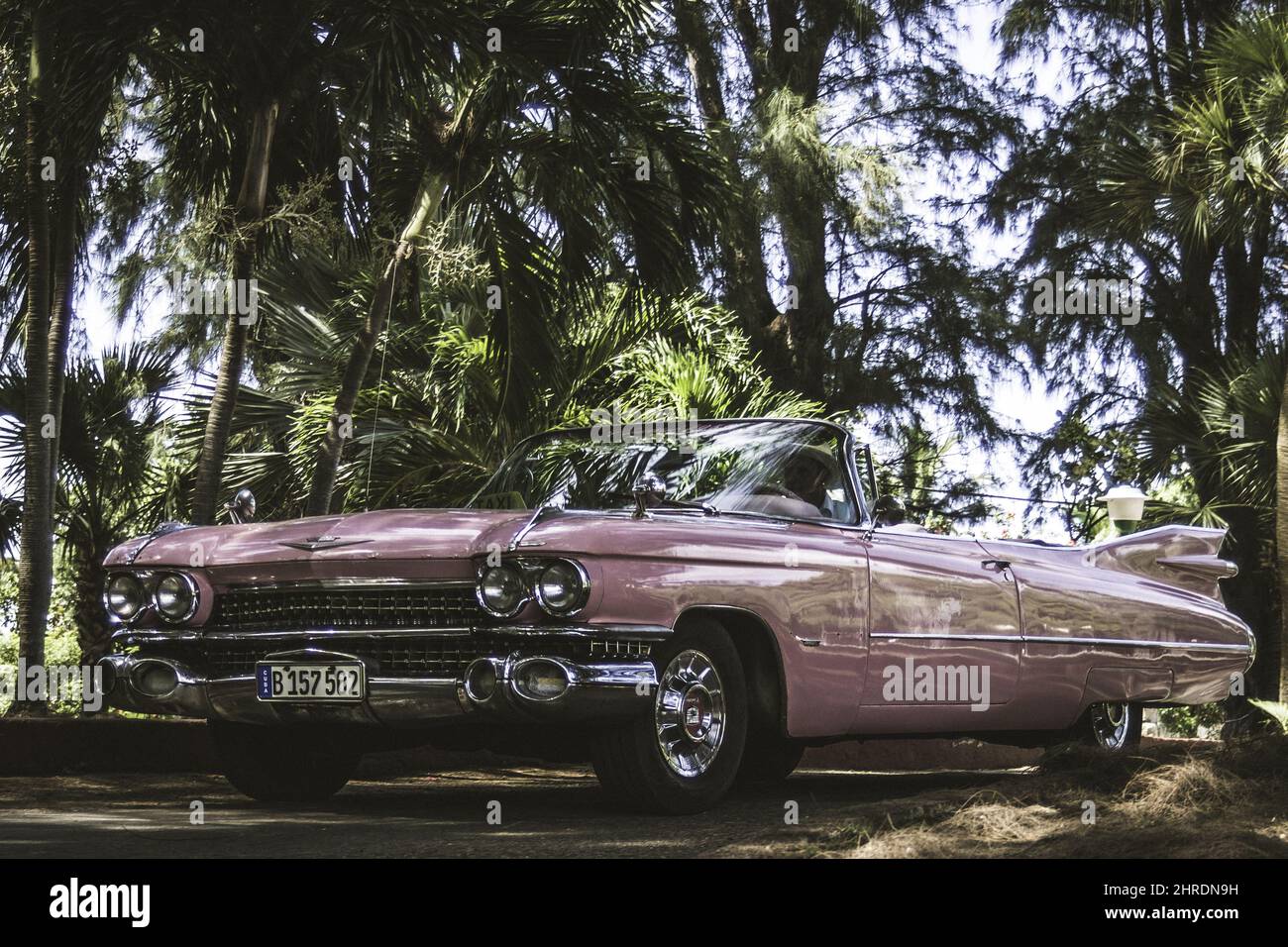 Classic car Cadillac Eldorado Biarritz near a forest Stock Photo Alamy
