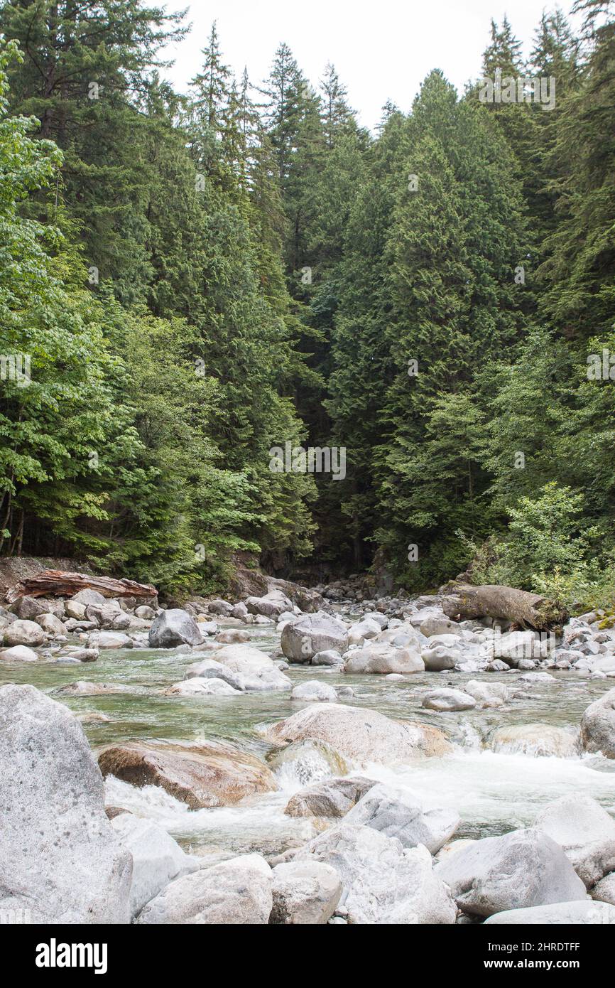 River through the forest, Kaslo, BC, Canada Stock Photo Alamy