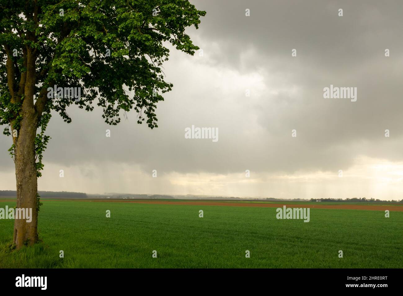 Spectacular view of stormy clouds over the green meadow Stock Photo - Alamy
